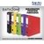 Bibliorato forrado PVC Data Zone (colores surtidos)