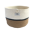Contenedor Capuchino