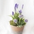 Mix de Flores