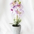 Orquídea en Maceta - comprar online
