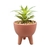 Maceta Chica Vintage con Planta en internet