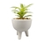 Maceta Chica Vintage con Planta - comprar online