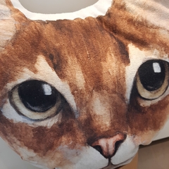 Almohadón gato abisino en internet