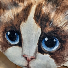 Almohadón gato siamés en internet