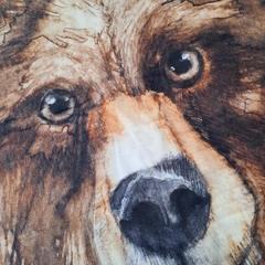 Alfombra oso - comprar online