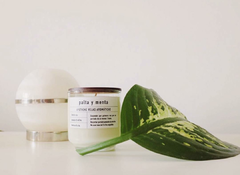 Vela cera de soja Palta y Menta - comprar online