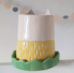 Maceta Gato amarillo con plato verde en internet