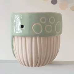 Taza Ballena en internet