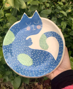 Plato Gato