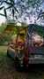 EVENTOS CON FOODTRUCK