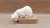 Gato Miron