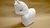 Caballo Troya 20 x 10