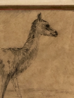 Grabado en carbonilla L. Cordiviola - comprar online