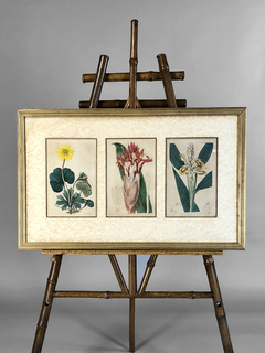 Grabado Inglés con flores Siglo XIX