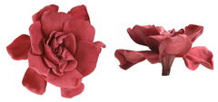 Imagen de Gardenias (Pack 3u)