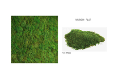 Musgo Flat - comprar online