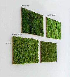Cuadro - Live Moss - comprar online
