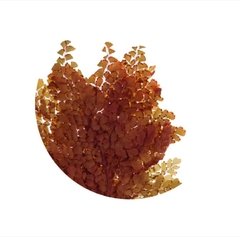 Helecho Lutti - comprar online