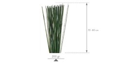 Mash Reed - comprar online