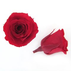 Rosa Baby (pack 15u) - comprar online