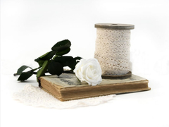 Rosa Blanca con Tallo Mini - comprar online