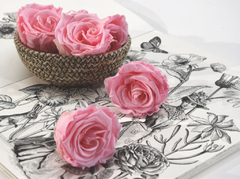 Rosa sin tallo - (pack 6u)