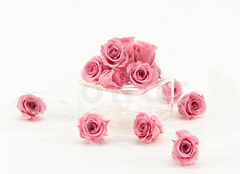 Rosa Baby (pack 15u)