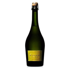 Champagne ricordi brut nature 750ml