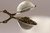 Bancha - comprar online