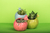 Banner de la categoría Maceta Cactus