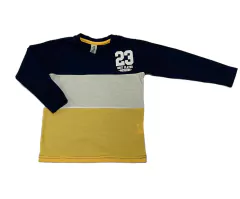 REMERA TRICOLOR