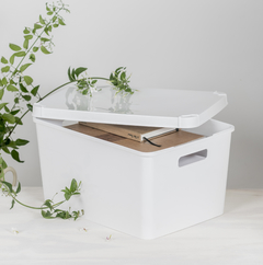Caja Solid 20 lts Baja Con Tapa (Cod.6027) - comprar online