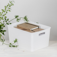 Caja Solid 20 lts Baja Con Tapa (Cod.6027) en internet