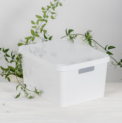 Caja Solid 20 lts Baja Con Tapa (Cod.6027)