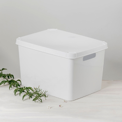Caja Solid 20Lts. Con Tapa (Cod.6030)