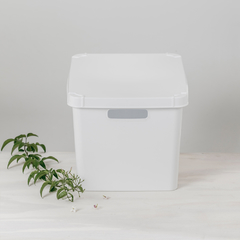 Caja Solid 20Lts. Con Tapa (Cod.6030) - comprar online