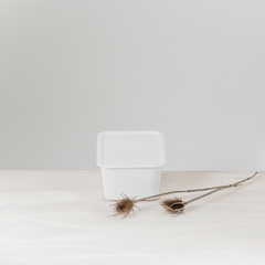 Caja Solida N°2 con tapa ( Cod 6072) - comprar online