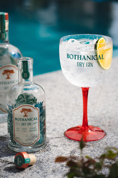 Bothanical Gin 375ml - comprar online
