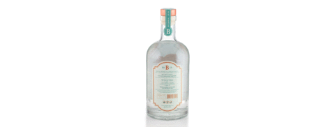 Imagem do banner rotativo Bothanical Gin - Premium Dry Gin
