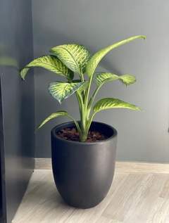 Maceta rotomoldeada