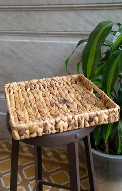 Bandeja Bidul - comprar online