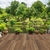 Ceramica Alberdi Eucalipto 51x51 en internet