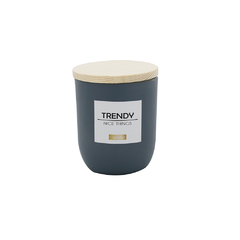 Vela Trendy *914464* en internet