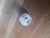 Anillo Ororu