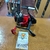 Reel Cougar SHOGUN SBL 401 FD