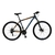 Bicicleta Tomaselli OXEA RIDDICH R.29 - Bici Pesca Ventura