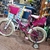 Bicicleta Raleigh LIL HONEY