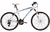 Bicicleta Raleigh Mojave 4.0 R.26