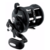 Reel DAWA SEALINE SLW30HL