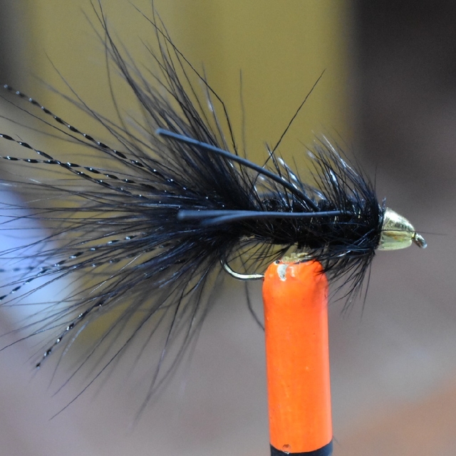 Aazon.co: Wooly Bugger Streaer - Kit surtido de oscas con caja de Aazon.co: Wooly Bugger Streaer - Kit surtido de oscas con caja de